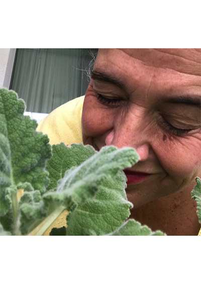 Stimmtraining - Schnupperstunde - Angebot Stimmtraining bei Katrin Hagenbeck